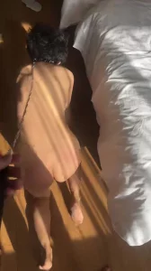 人妻母狗汪汪汪